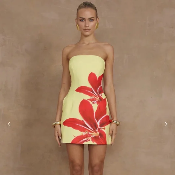 Runaway Label | Dresses | Runaway Label Primrose Mini Dress Yellow Lily  Large | Poshmark